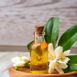 100% huile essentielle de néroli naturel arbre à thé huile essentielle pure France Distillation à la vapeur fabricant de haute qualité fournisseur en gros - Product Image 2