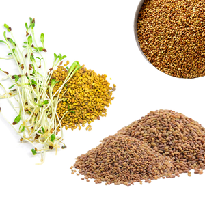 หญ้าชนิต | ฟาร์ม-อาหารสัตว์สดสำหรับสุขภาพสัตว์ - Product Image 4