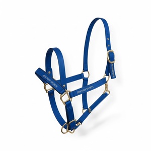 Cabestro de Cuero para Silla Inglesa, Ajustable, Color y Tamaño Personalizables, para Todas las Estaciones - Product Image 6