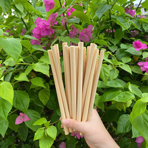 Pajitas de bambú ecológicas con logotipo personalizado Pajitas de bambú reutilizables Precio barato y alta calidad por los fabricantes Eco2go Vietnam - Product Image 2