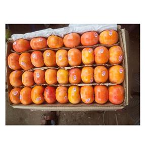 Fruit de kaki frais de qualité supérieure - Product Image 1