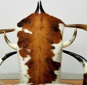 Silla de cuerno de buey de vaca antigua hecha a mano Silla de ocio fuerte y pulida diseño de estilo indio para hoteles y lujo - Product Image 6