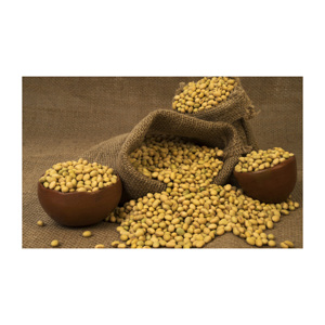 Soja salé torréfié biologique Soja jaune sans OGM en vrac style séché en gros - Product Image 5