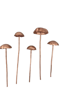 Piquet de jardin en métal, best-seller d'Amazon, de qualité durable, avec une finition élégante, à prix avantageux - Product Image 3