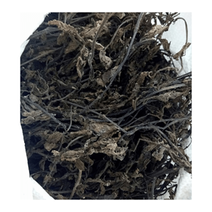 SUONG SAO VIETNAM/ THACH SUONG SAO BLACK GRASS JELLY DESSERT/FEUILLES D'HERBE NOIRE SÉCHÉES À PARTIR DE 99 DONNÉES D'OR au VIETNAM - Product Image 5