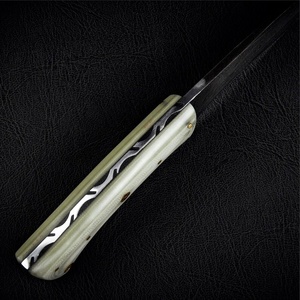 Cuchillo de Supervivencia de Acero de Damasco, Hoja Fija, Personalizado, para Caza y Camping al Aire Libre, Mango G10, Funda de Cuero, Fabricante OEM - Product Image 2