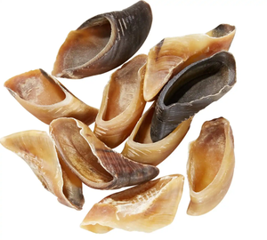 Alimento Seco para Perros de la Mejor Calidad, Rico en Proteínas, Natural, de Cuernos de Búfalo, Ecológico, Tallado Moderno, Artesanía Atemporal, Hecho a Mano - Product Image 2