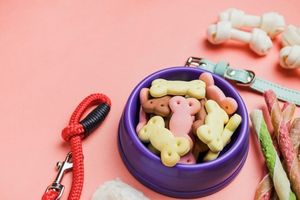 ของเล่นสุนัขของเล่นเคี้ยวสำหรับสัตว์เลี้ยงทำจากผ้ากำมะหยี่เป็นมิตรต่อสิ่งแวดล้อม - Product Image 2