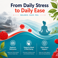 Gummies personnalisées à base de pectine à la formule Ashwagandha et L-Théanine pour l'équilibre du cortisol et la relaxation botanique – Fabricant