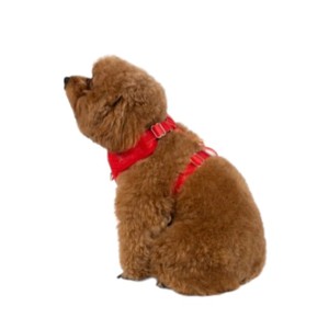 Arnés para Perro a Cuadros Rojos con Cierre de Hebilla Ajustable, Estilo Simple, Tipo Rower para Perros - Product Image 4