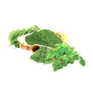 ขายส่งผงใบมะรุมธรรมชาติบริสุทธิ์คุณภาพสูงจํานวนมาก - Product Image 3