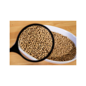 GMO และ Non GMO ถั่วเหลือง/ถั่วเหลืองสำหรับขาย - Product Image 2