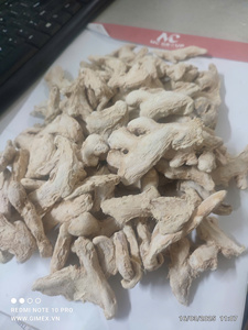 Producto agrícola fresco de raíz de jengibre seco a granel de alta calidad de Bao Tram Anh Company directamente de proveedor vietnamita - Product Image 3