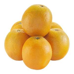 Limones Frescos de Alta Calidad - Venta al por Mayor de EE. UU. 25 kg Almacenamiento en Frío - Product Image 5
