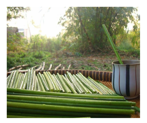 Fournisseurs du Vietnam Pailles d'herbe séchée-Pailles à boire en vrac en gros, offre compétitive, prêtes pour l'exportation immédiate - Product Image 1