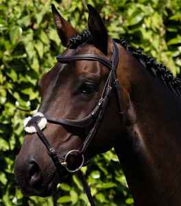 Bride de cheval en cuir robuste 2026 avec design de selle anglaise, parfaite pour l'équitation en plein air, équipement équestre, OEM personnalisé - Product Image 1