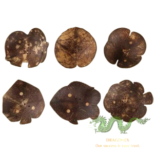 Juego de Tazones y Cucharas para Smoothie y Ensalada, Hechos a Mano con Cáscara de Coco Natural Orgánica, con Tapa, Decoración Navideña para el Hogar, Impresión y Corte a Troquel, para Velas - Product Image 6
