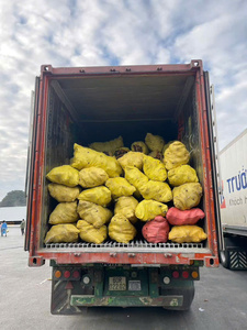 Reliable Frozen <b>Taro</b> Source in Vietnam with Competitive Export Pricing - Product Image 3