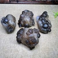 Agate Panda Égyptienne Pierre Brute, Agate Œil de Gobi, Spécimen Minéral de Haute Qualité, Objets de Collection, Décoration d'Intérieur, Guérison des Chakras, Cadeau Spirituel