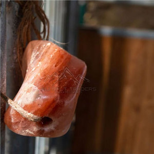 Pakistán fabricación pura Natural Himalaya Rosa Animal lamer sal lámpara tallada flor estilo venta en línea artesanías naturales - Product Image 5