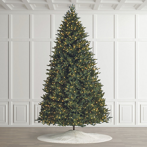 (EF) <b>Digital</b> <b>Camera</b> Wholesles Ricohhs Gr Iii 1080p 24.2mp F-2.8 Compact - Product Image 3