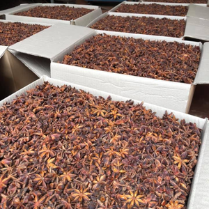 โป๊ยกั๊กต้นกำเนิดเวียดนามขายส่ง - Product Image 2