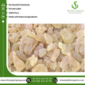 Fourniture en gros de la plus haute qualité Extrait de plantes de Boswellia Serrata de qualité thérapeutique pure et naturelle de l'exportateur indien - Product Image 4