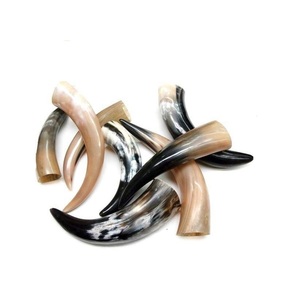 Corne à boire naturelle de qualité supérieure avec support en cuir Idéal pour les collectionneurs Véritable tasse à corne faite à la main pour la bière Mead et Ale - Product Image 1