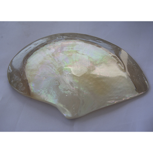 Seashell vàng tự nhiên mẹ ngọc trai đánh bóng đồ trang sức lớn vỏ với ngọc trai môi đánh bóng mẹ ngọc trai nguyên - Product Image 3