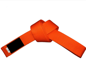 300cm de long 100 pour cent coton BJJ ceinture multi couleur Option arts martiaux formation personnalisable équipement OEM - Product Image 5