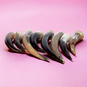 Gobelet à sel de style religieux viking, fait à la main, de qualité supérieure, support pour corne à boire, coquille polie, sans danger pour les aliments, étanche, mug à bière nordique - Product Image 5