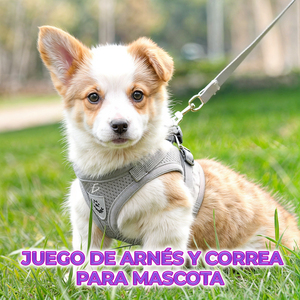 Pettorina Sportiva per Gatti e Cuccioli, Taglie Piccole e XL, in Nylon e Poliestere Riflettente con Guinzaglio, Tinta Unita o Fantasia Animale - Product Image 5