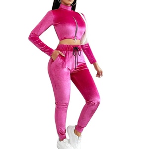 Conjunto de Dos Piezas de Chándal de Terciopelo con Logotipo Personalizado para Otoño e Invierno, Conjunto de Sudadera con Capucha para Mujer, Conjunto de Dos Piezas, Chándal 2026 - Product Image 5