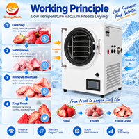Grande lyophilisateur commercial, machine de lyophilisation à sec, vente chaude