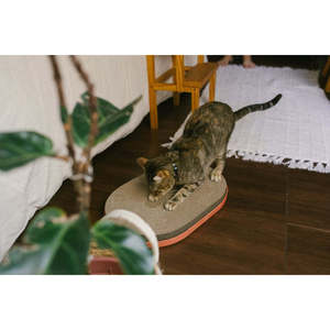 Modern Luxury <b>Cat</b> <b>Scratching</b> <b>Post</b> Large <b>Cat</b> Tree with Classic Style Made of Jute and Wood Toy <b>for</b> <b>Cats</b> Packaged in Carton - Product Image 4