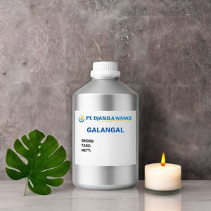 Huile Essentielle de Galangal 5kg – Vente en Gros, Approvisionnement Direct Fabricant Vietnamien, OEM, Marque Privée Disponible, Parfum Chaud et Épicé - Product Image 3