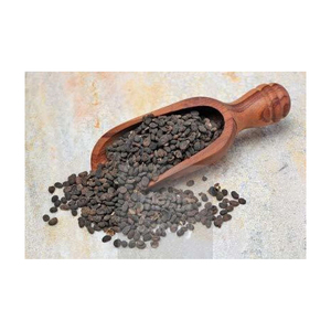 Achetez maintenant la dernière récolte de Psoralea Corylifolia (graine de Babchi) 100% naturelle, 25 KG, prix de gros du marché. - Product Image 1