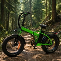 Vélo électrique à pneus larges avec capteur de couple pour flotte de livraison alimentaire - Vente en gros