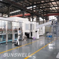 Machine remplissante de purification et d'embouteillage de l'eau pour la petite usine de l'eau