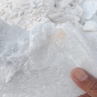 Bubuk Talc untuk aplikasi industri dengan ukuran jaring yang konsisten dan putih ideal untuk industri plastik dan kertas kosmetik