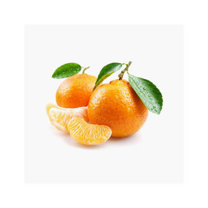 Orgánico Fresh Citrus Fruit Mandarin Orange Precio al por mayor Jugosa naranja a bajo precio - Product Image 2