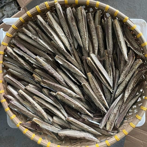 Pescado Scad Congelado al Vapor, Caballa Congelada, Pescado Scad de Alta Calidad, Vietnam, Pescado Scad Congelado al Vapor Envasado al Vacío ANGLE - Product Image 1