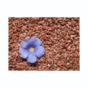 Semillas de lino a granel suministradas en gran stock para cocinas comerciales y mercados de alimentos - Product Image 2
