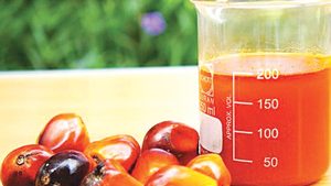 Aceite de palma rojo/aceite de palma RBD/aceite de almendra de palma a la venta, suministro de fábrica de aceite de palma de grado alimenticio, aceite de cocina de Palma - Product Image 5