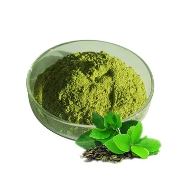 Top Quality Food Grade 100% Natural and Pure Green Tea Herbal Extract Powder from Indian Supplier