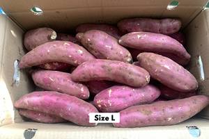 Cuisiner avec des patates douces naturelles: recettes faciles et délicieuses pour toute occasion - Product Image 6