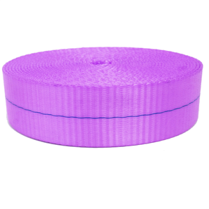 Tejido personalizado de alta tenacidad 25/38/50mm colores variados PE PP correas para levantar bolsas correas zapatos y accesorios para mascotas - Product Image 3