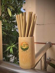 Juego de 10 pajitas de bambú + cepillo de coco + bolsa de tela - Product Image 6