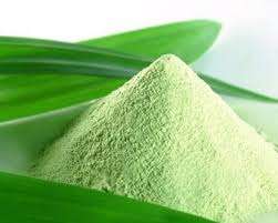 พืชอวบอิ่มใบเตยผสม - Product Image 6