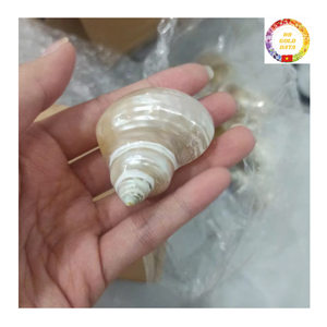 ผ้าเช็ดปากเปลือกหอยธรรมชาติทำด้วยมือจากเวียดนามสำหรับงานเลี้ยงและโรงแรม - Product Image 6